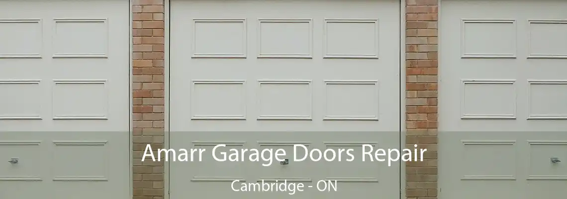 Amarr Garage Doors Repair Cambridge - ON