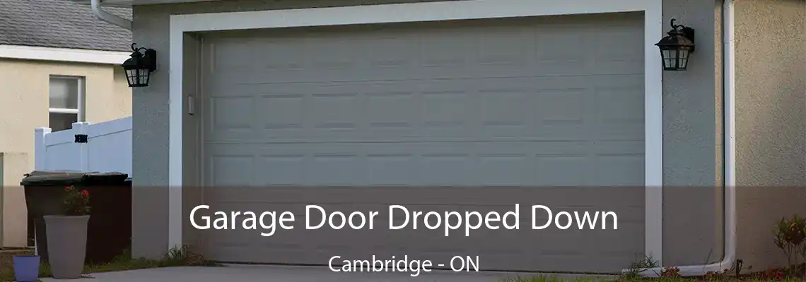 Garage Door Dropped Down Cambridge - ON