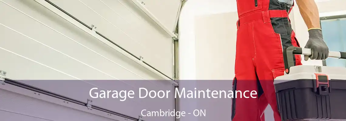 Garage Door Maintenance Cambridge - ON