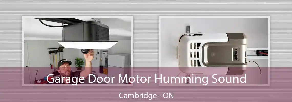 Garage Door Motor Humming Sound Cambridge - ON