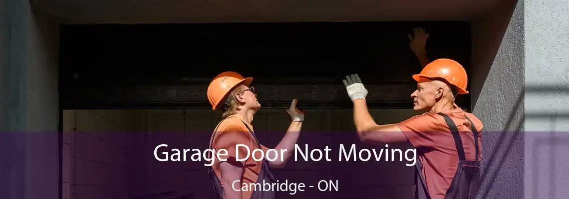Garage Door Not Moving Cambridge - ON