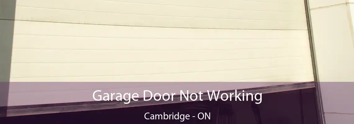 Garage Door Not Working Cambridge - ON