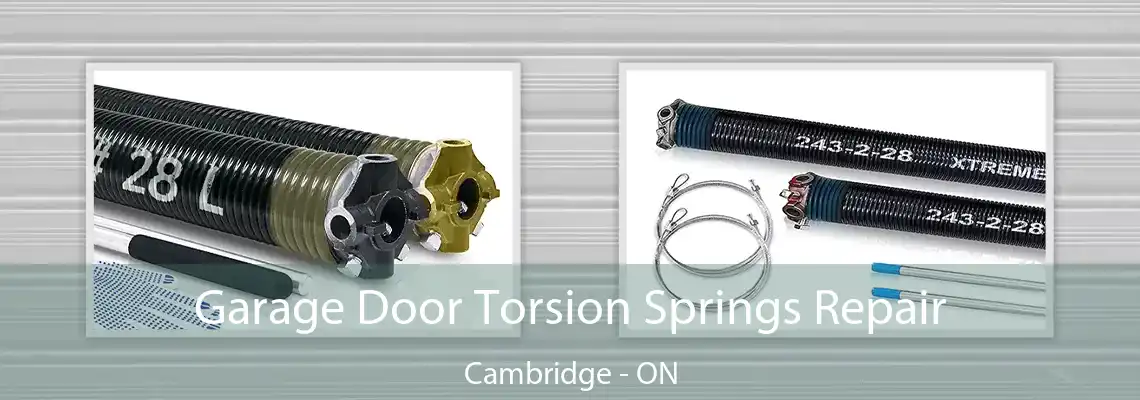 Garage Door Torsion Springs Repair Cambridge - ON