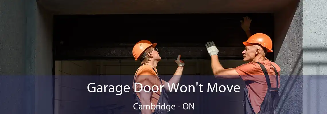Garage Door Won't Move Cambridge - ON
